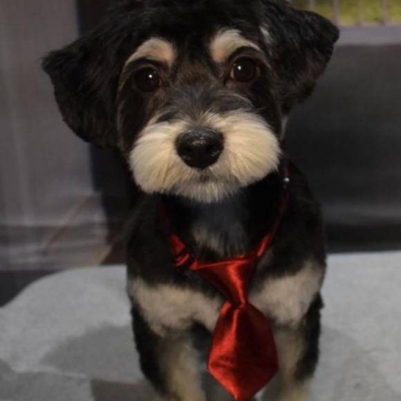 Meet your Posher, Kathleen - Picture 3 of 3